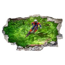 Vinilos 3d mountain bike agujero pared